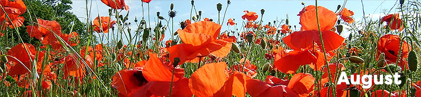 Calendar Image