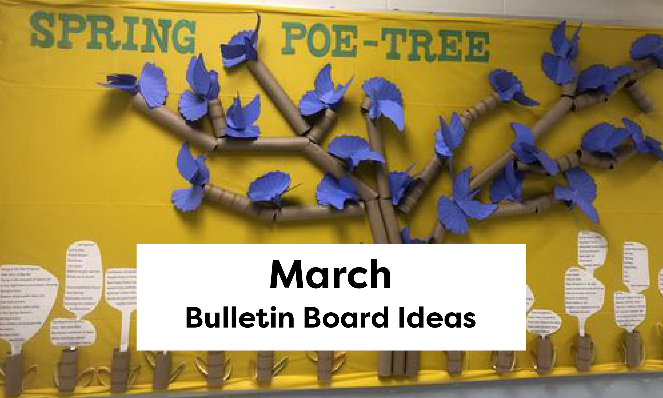 March Bulletin Board Ideas