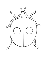 Ladybug Pattern