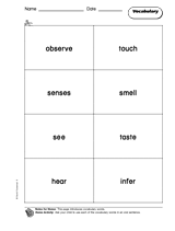 The Senses: Vocabulary
