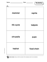 Animals: Vocabulary 2