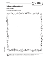 Explore Activity: What a Plant Needs