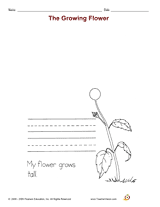 The Growing Flower