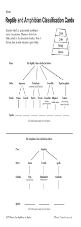 Reptile and Amphibian Classification Cards