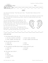Health Reading Warm-Up: Ears
