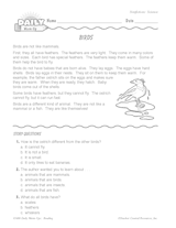Science Reading Warm-Up: Birds