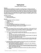 Butterfly Garden Worksheet
