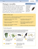 Insect Activities: Hungry Mouths