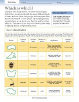 Insect Activities: Which is Which?