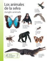 Jungle Animals (Animales de la selva)