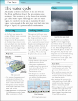 The Water Cycle Worksheet (Grades 3-6)
