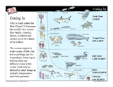 Ocean Zones Mini-Lesson — PowerPoint Slideshow